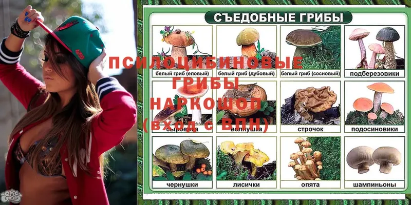 Псилоцибиновые грибы мухоморы  кракен ССЫЛКА  Новое Девяткино 